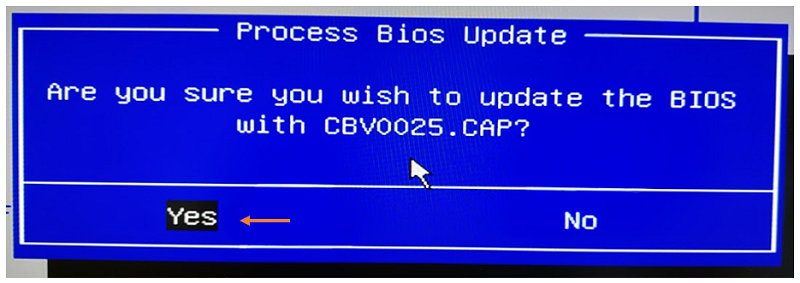 Confirm you want to update the BIOS
